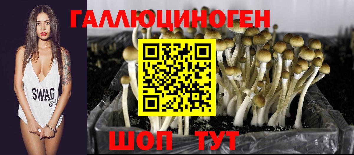 Псилоцибиновые грибы мухоморы Россошь