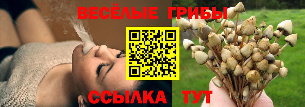 Россошь  Галлюциногенные грибы Psilocybine cubensis  Вход с VPN  Псилоцибиновые грибы Cubensis 